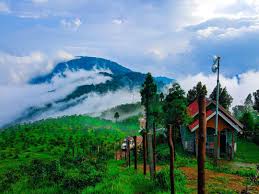 Upcoming North Bengal Trip - The Commerce Company Student Life